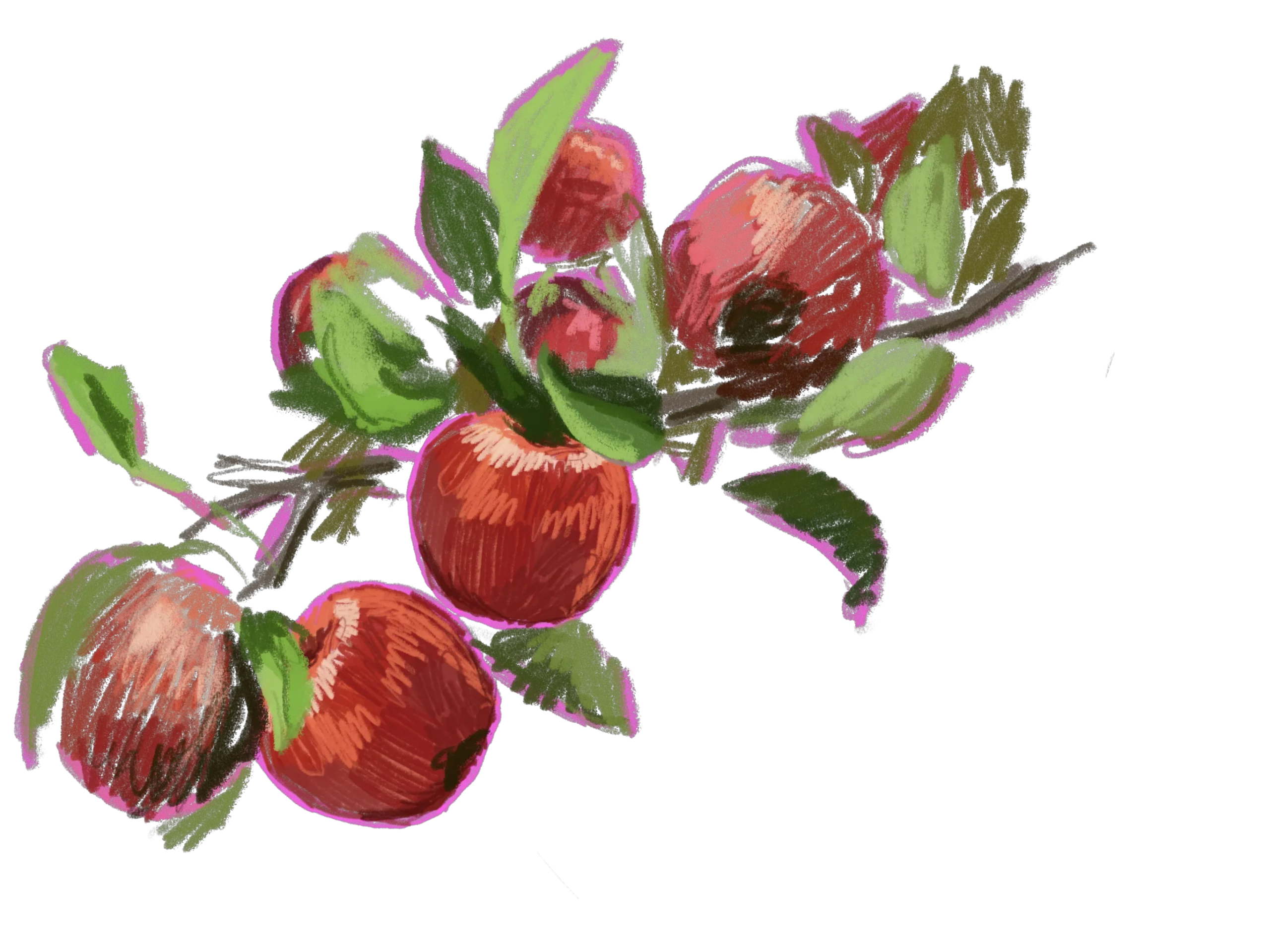 mokapi-apples