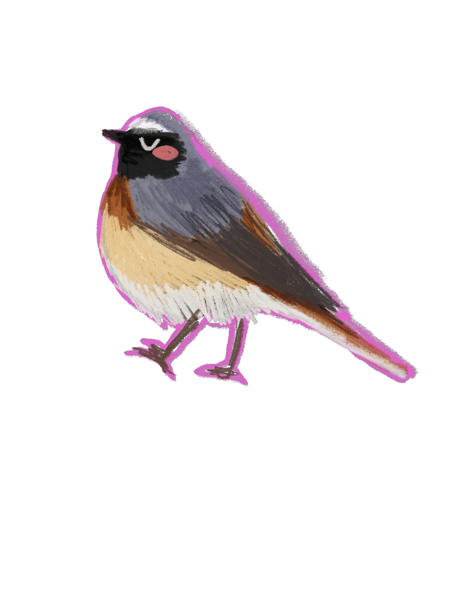 mokapi-birbii