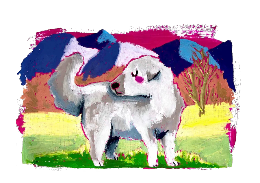 mokapi-doggust-2069