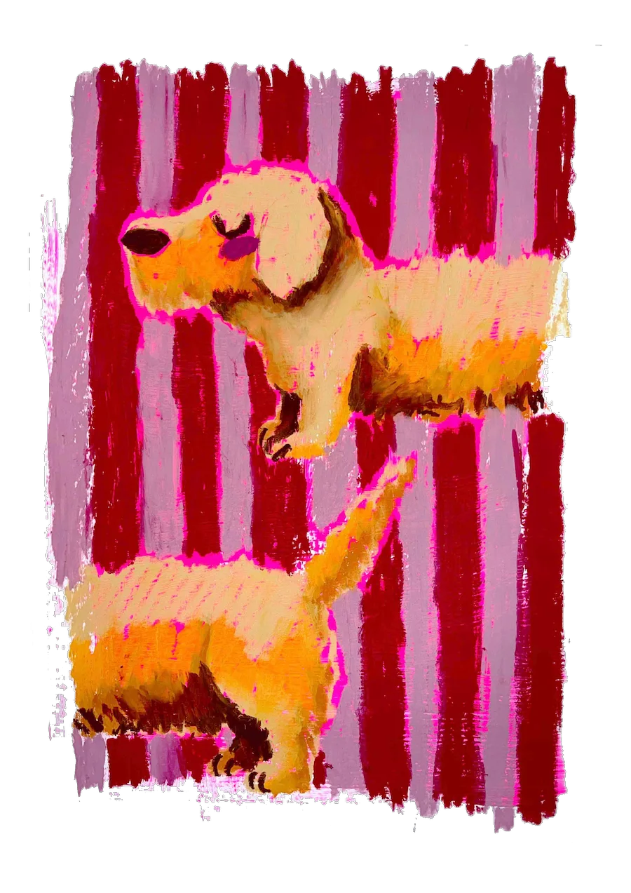 mokapi-doggust-892356